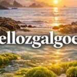 wellozgalgoen