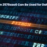 How Python 2579xao6 Can Be Used for Data Analysis