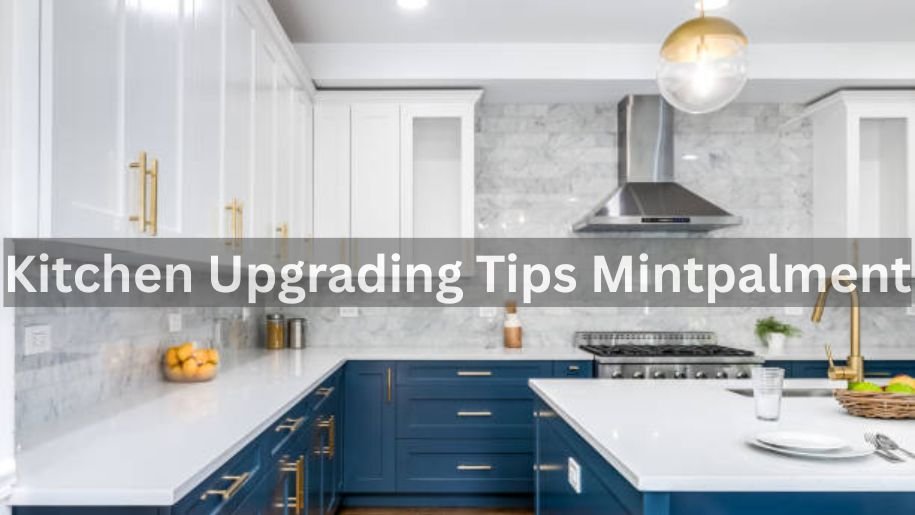 Kitchen Upgrading Tips Mintpalment