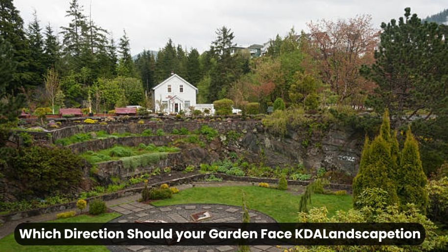 Which Direction Should your Garden Face KDALandscapetion