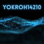 Yokroh14210