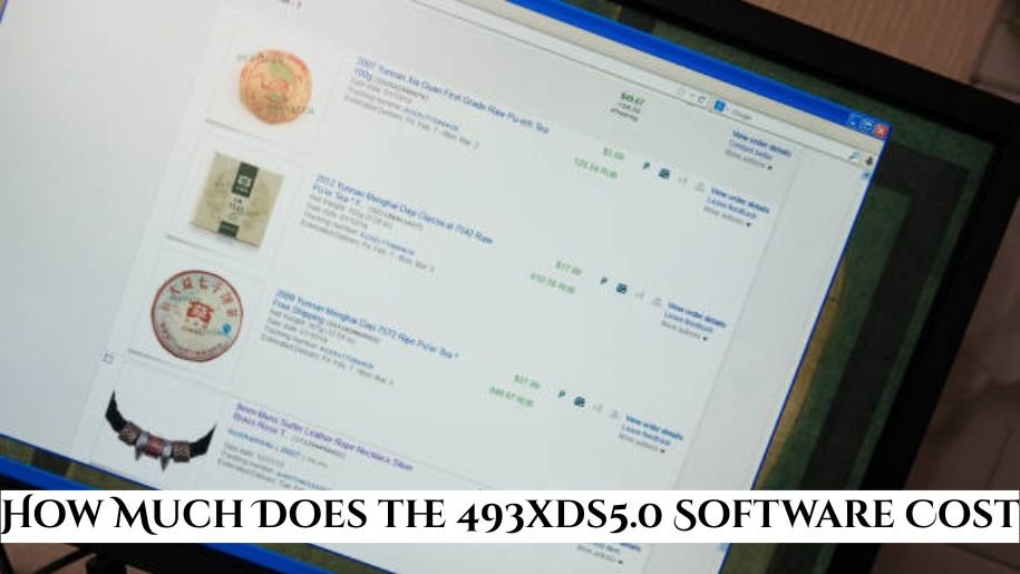 How Much Does the 493xds5.0 Software Cost